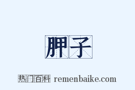 胛子是什么意思的图片